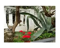 Гостевой дом "Белый дом" Гостевой дом "Белый дом"