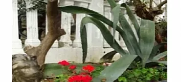 Гостевой дом "Белый дом"