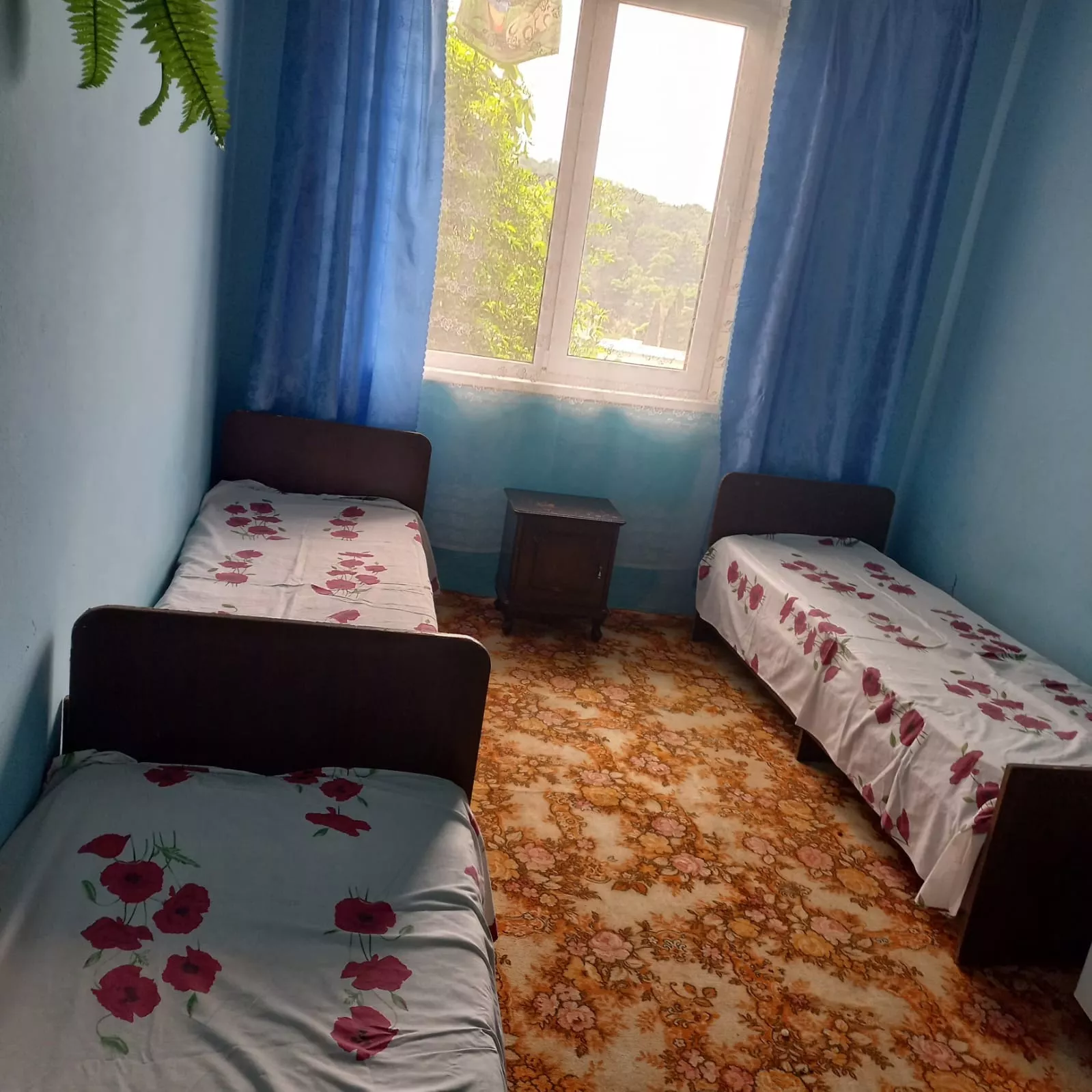 . Гостевой дом В гостях у Давида. Лоо