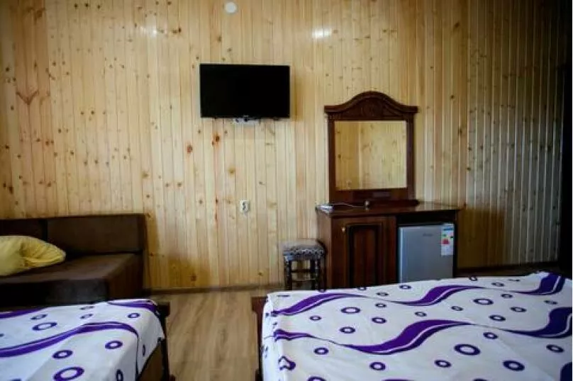 2, 3, 4-х, 5-ти местный «Люкс». Гостевой дом Олеандр. Гагра