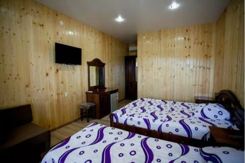 2, 3, 4-х, 5-ти местный «Люкс». Гостевой дом Олеандр. Гагра