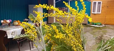 Дом под ключ FIESTA SEA