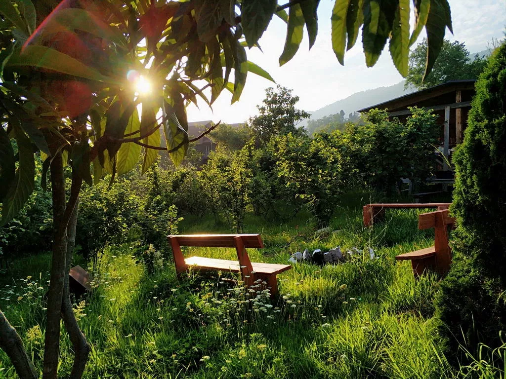 . Гостевые домики "Парадиз" в Новом Афоне рядом с морем. Новый Афон