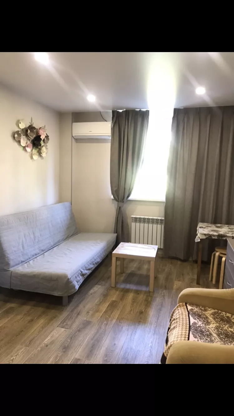 . Квартира поделённая на 2 студии каждая со всеми удобствами. Курорты Сочи