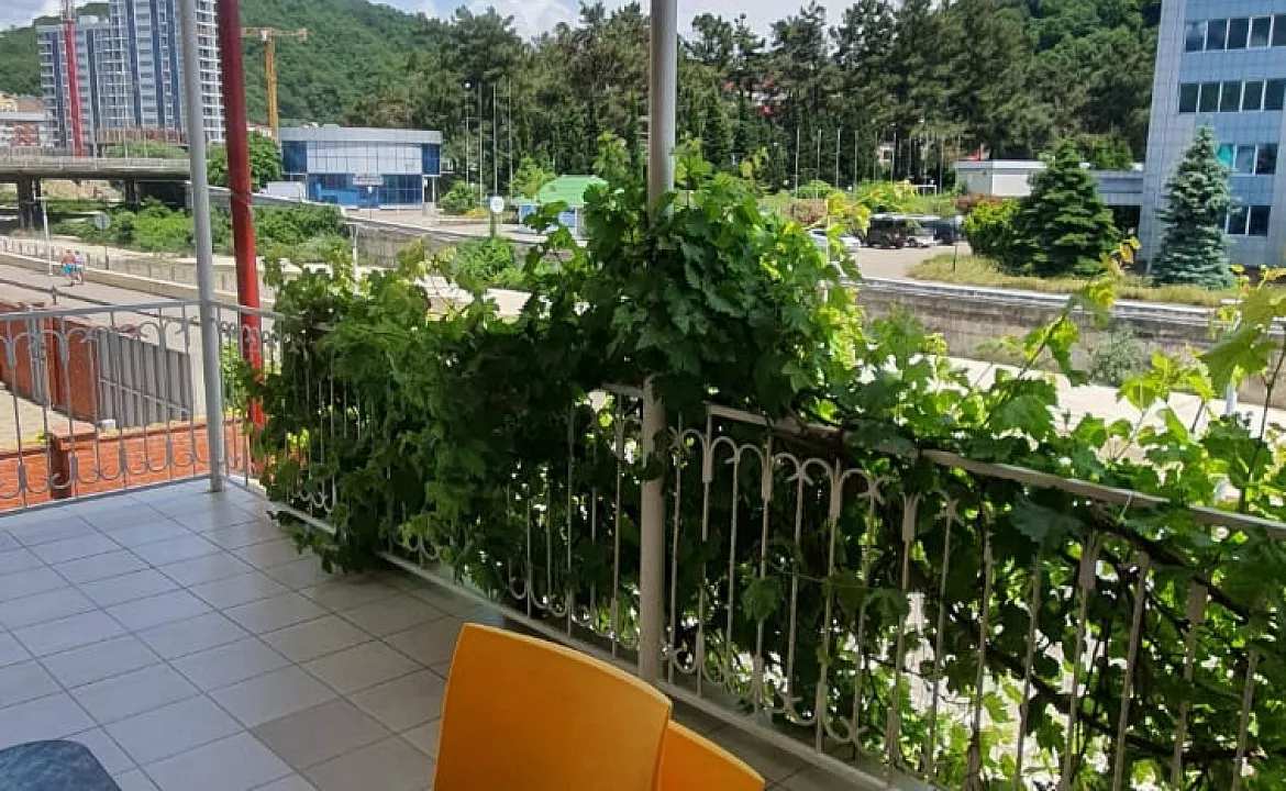 С удобствами на 2, 3, 4 и 5 человек. Гостевой дом ОРИОН. Ольгинка