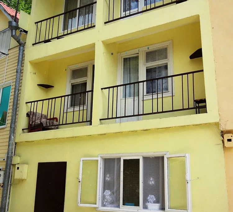 . Таунхаус У Дарьи. Солоники