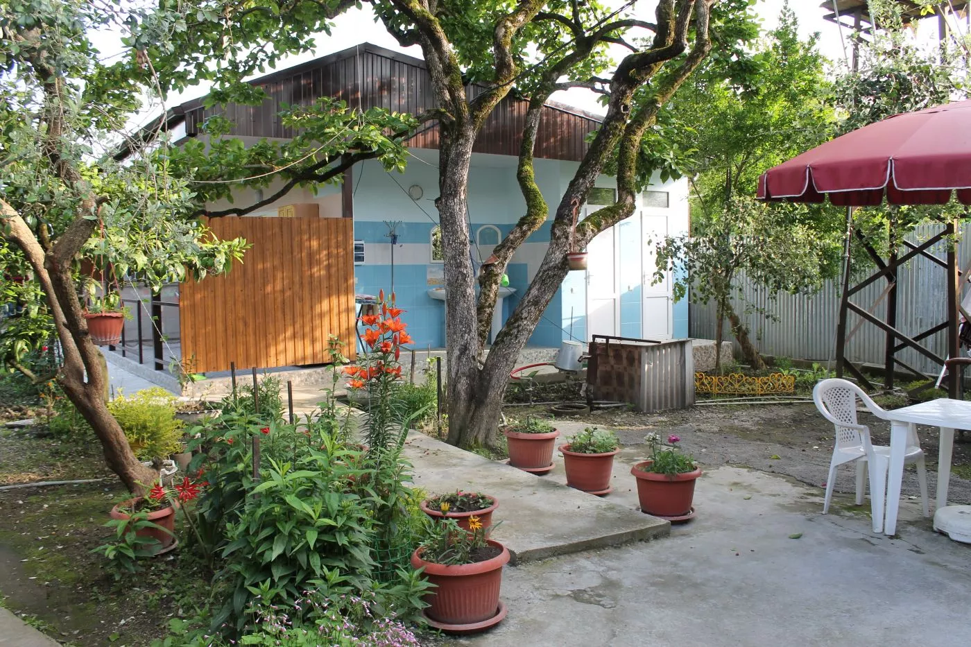 . Гостевой дом Золотая Рыбка - Гагра. Гагра