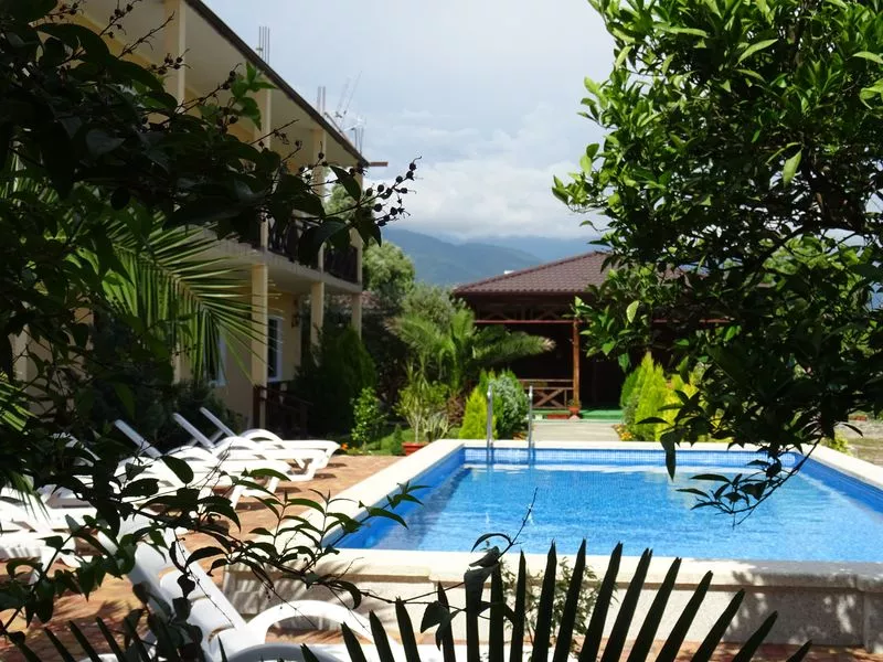 . Гостевой дом "У дед Самвела". Пицунда . Гостевой дом "У дед Самвела". Пицунда