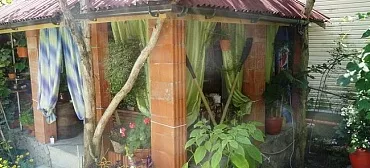 Частный сектор Елена