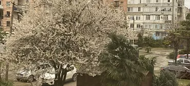 Двухкомнатная квартира у рынка 