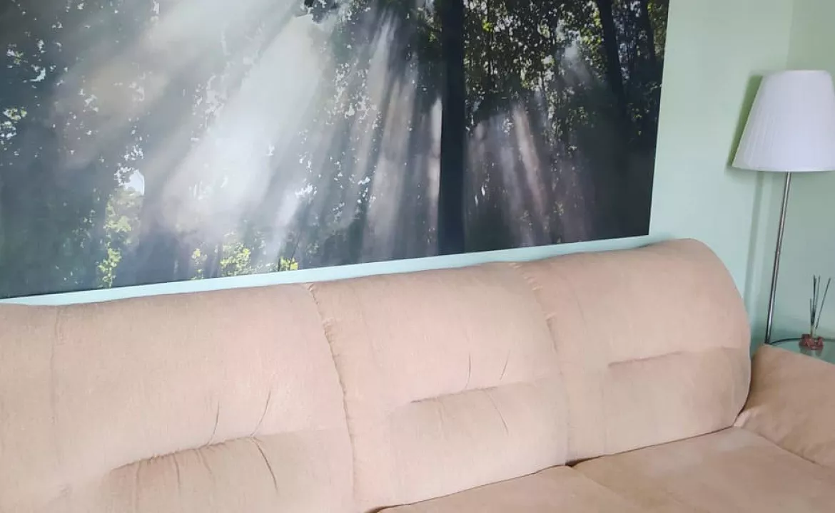 Апартаменты 2х-комнатные . Апарт-отель "Афалина"     . Ольгинка