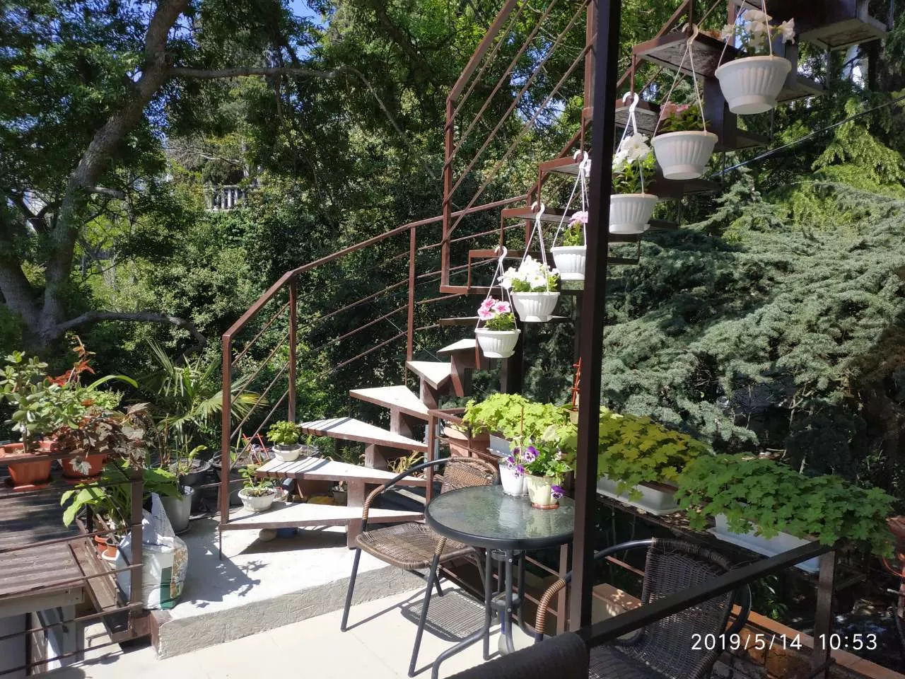 . Частный гостевой дом Ялта. Ялта