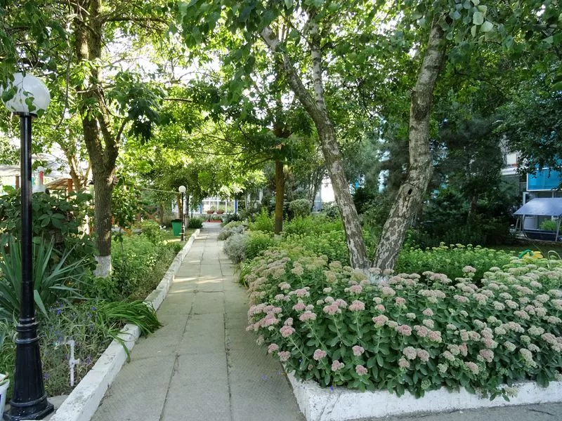 . База отдыха "Ростовчанка". Благовещенская