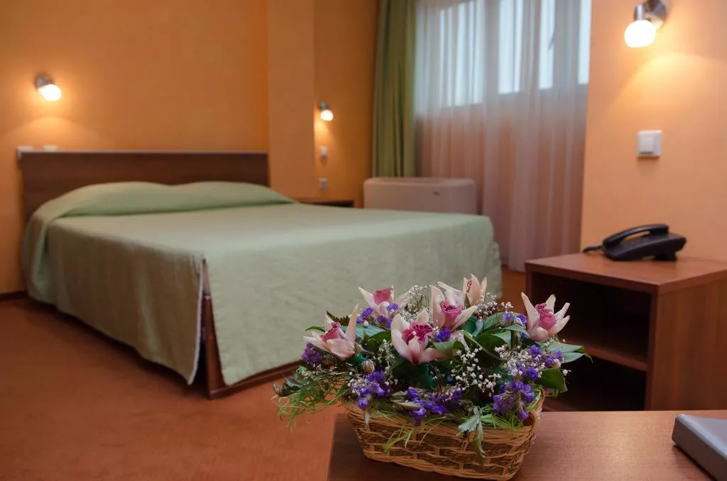 Двухместный номер Делюкс с 1 кроватью или 2 отдельными кроватями. Отель Адельфия. Адлер