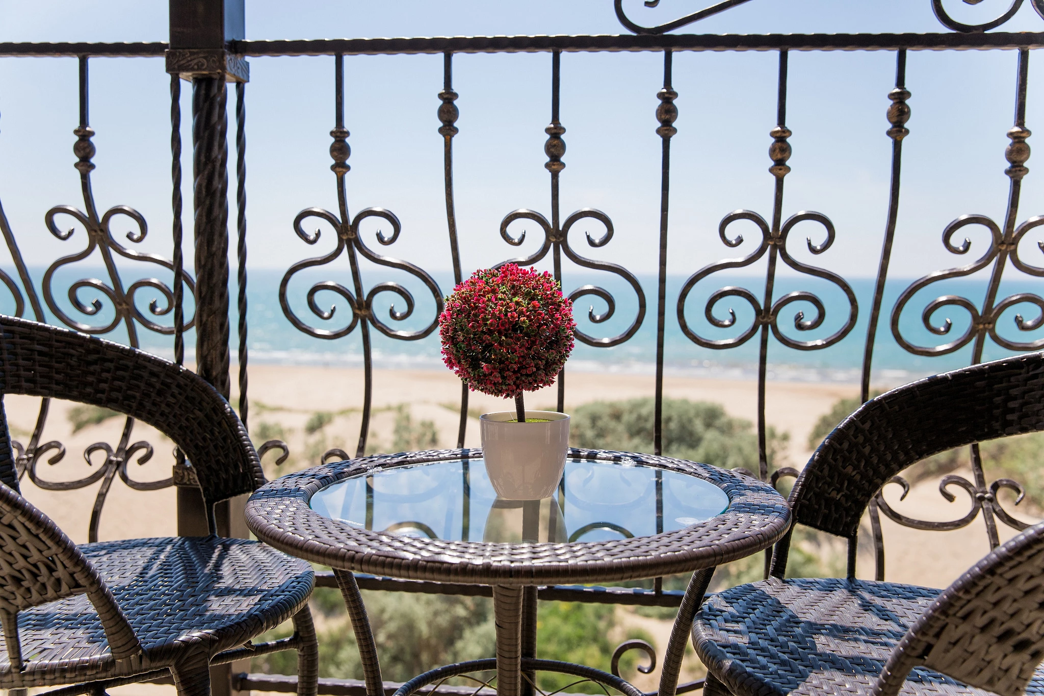 . Отель "Alfa Summer". Анапа