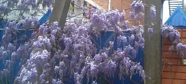 Гостевой дом "Усадьба Александр" 