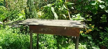 Частный сектор Елена