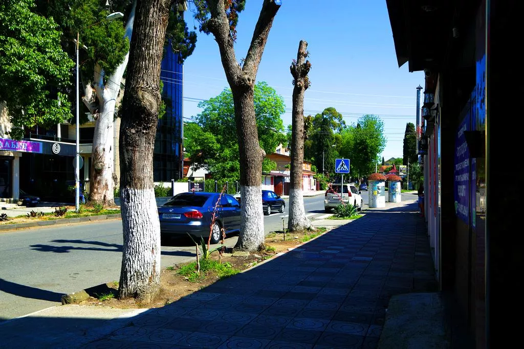 . Гостевой дом "Гагра-Лазурная". Гагра