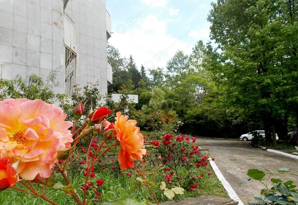 . Санаторий Урал. Сочи . Санаторий Урал. Сочи