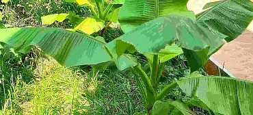 Частный сектор Комнаты в центре Анапы