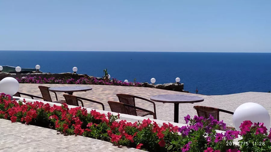 . Гостевой дом «Камилла Sunrise». Алушта