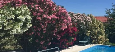 Гостевой дом "Green House"