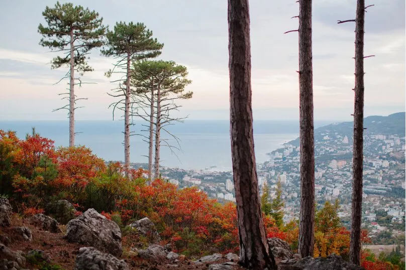 . Гостевой дом Eco AusHaus. Советское