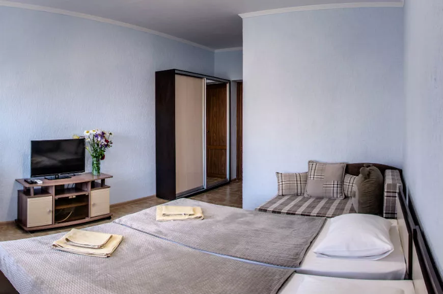 Комната стандартная улучшенная. Жилой дом «Зелёная симфония». Заозерное