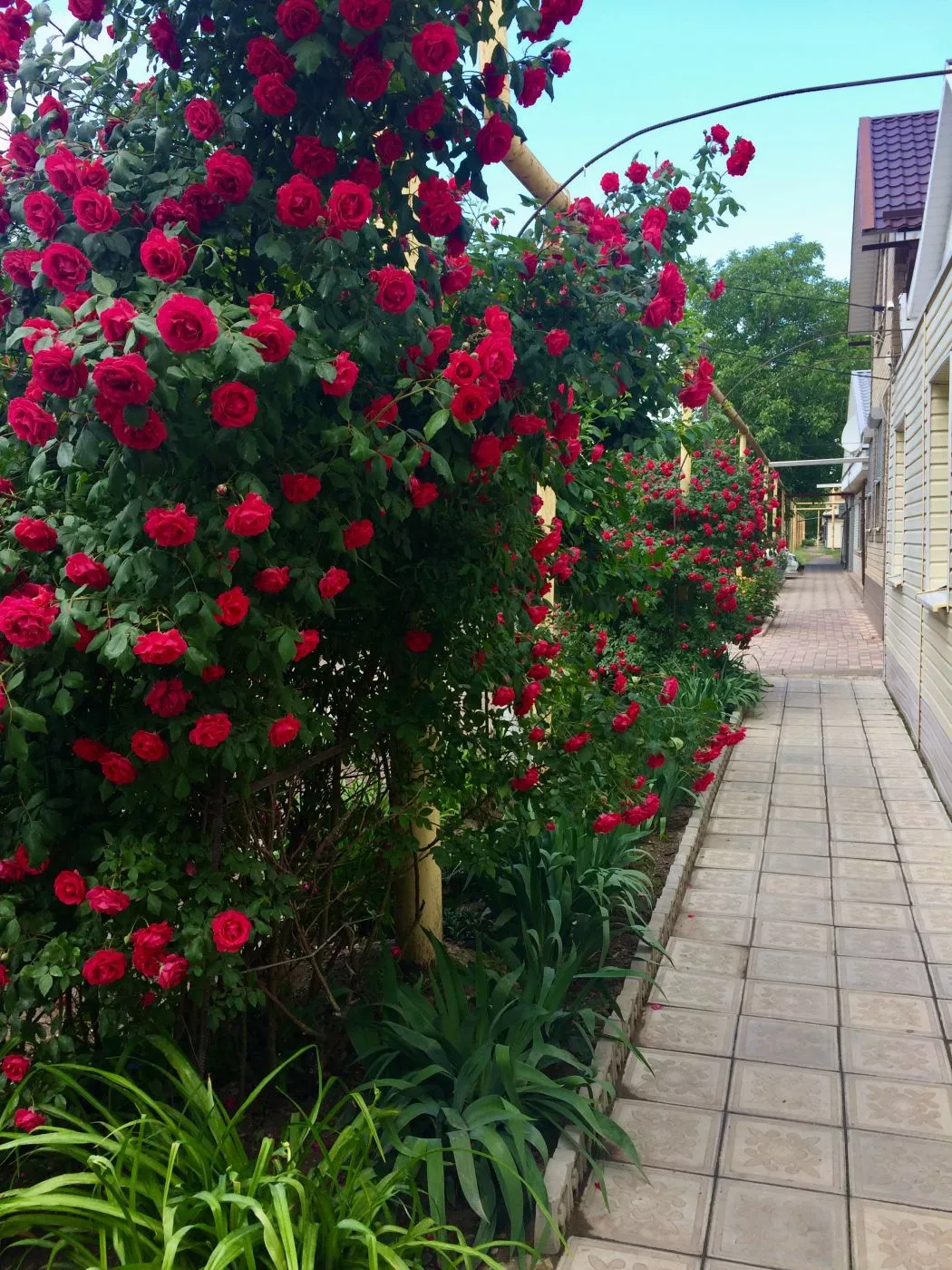 . Дом под ключ Гостевой  дом у Ольги. Ейск