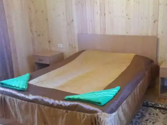 Люкс 2-местный 1-комнатный (Основной корпус). Отель «Меридиан». Домбай-гостиницы