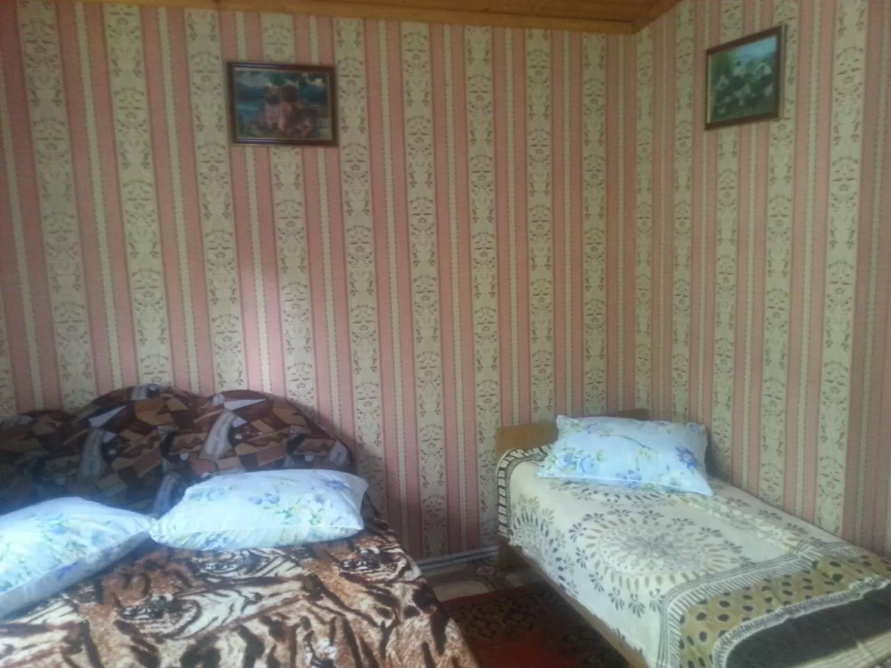 . Частный сектор "Райский уголок" - Хоста. Хоста