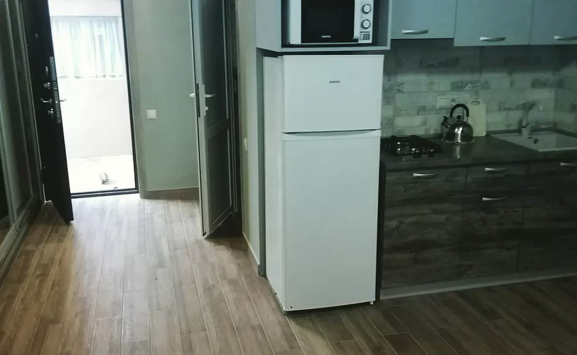 Апартаменты с индивидуальной кухней. Гостевой дом Светлана на Алычевом. Лоо Апартаменты с индивидуальной кухней. Гостевой дом Светлана на Алычевом. Лоо