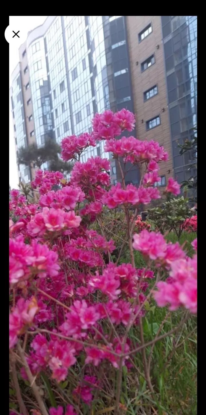 . Квартира в многоквартирном доме Sun Hills. Небуг