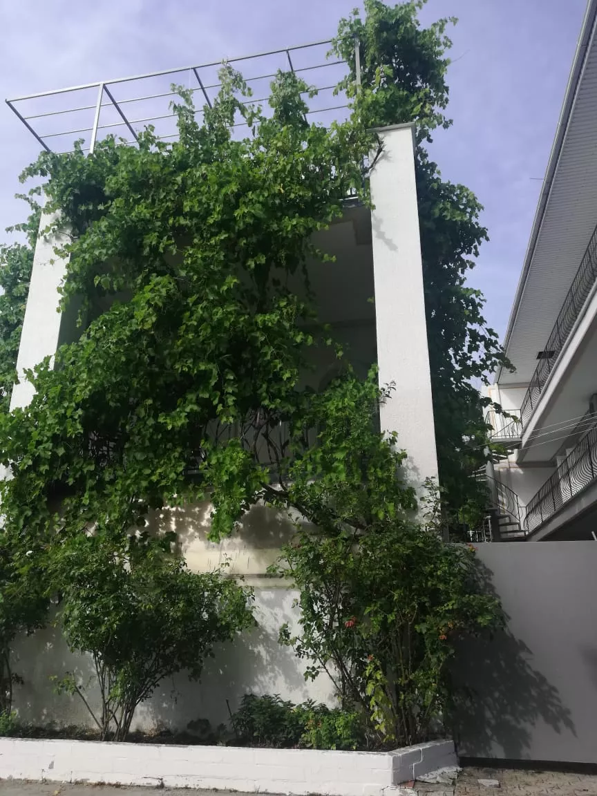 . Гостевой дом У Марты. Геленджик