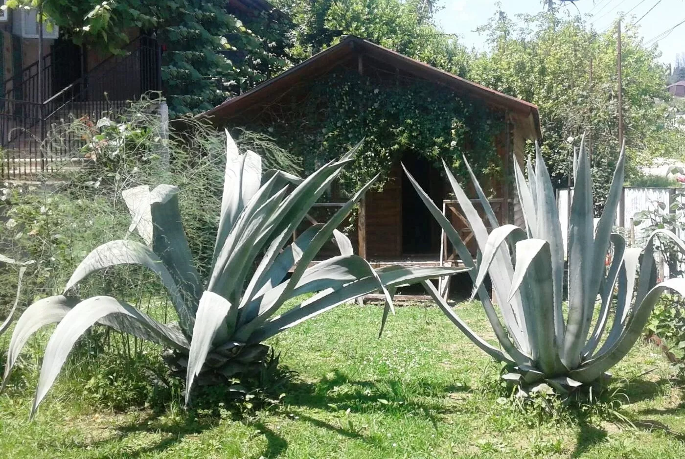 . Дом под ключ Отдельные домики рядом с морем!. Гудаута