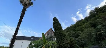 Гостевой дом "Сосновый рай" 