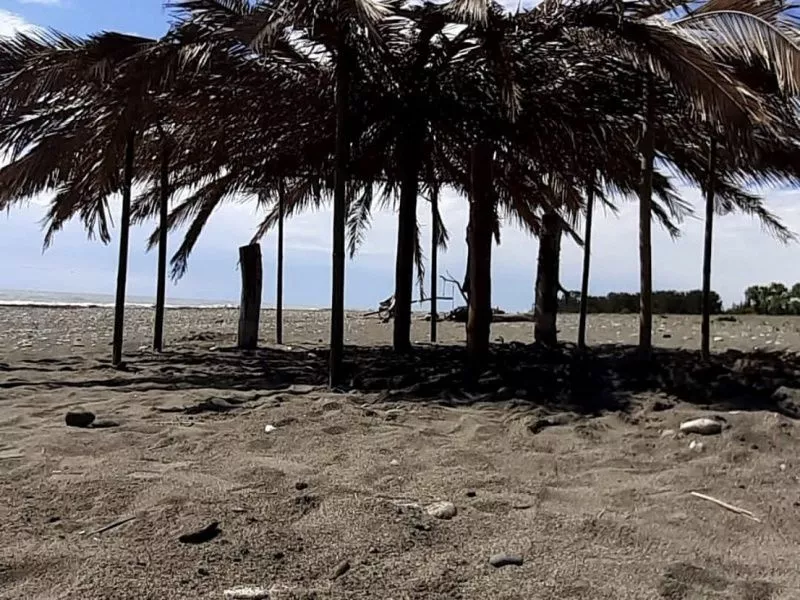 . Гостевой дом Paris . Пицунда