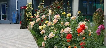 Отель «Гавань»