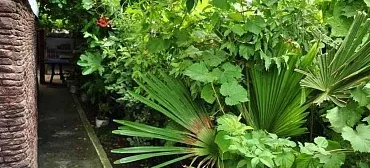 Гостевой дом "Лазурный берег"