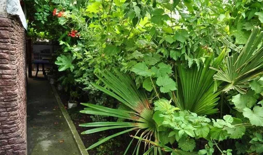 . Гостевой дом "Лазурный берег". Аше