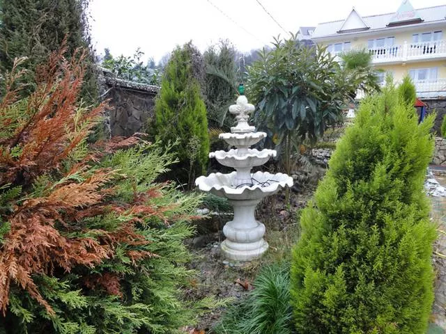 . Гостевой дом "ЛиДиАнна". Вардане