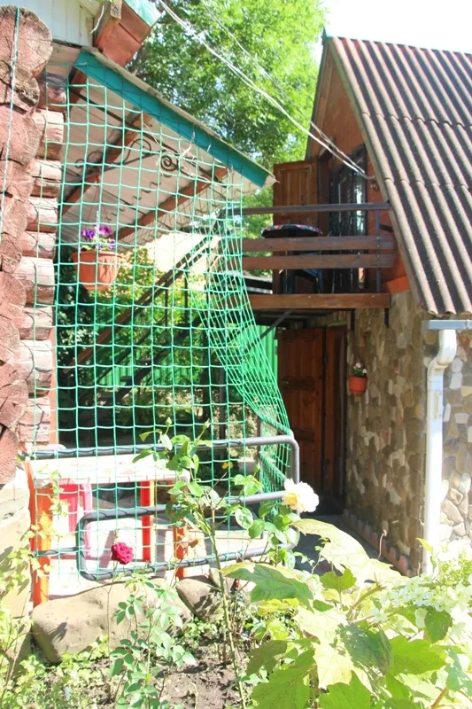 . Частный сектор "Green House" . Джубга