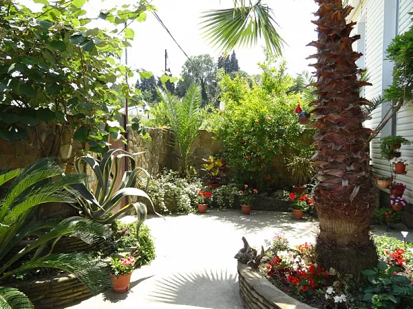 . Частный сектор "Милана" . Адлер