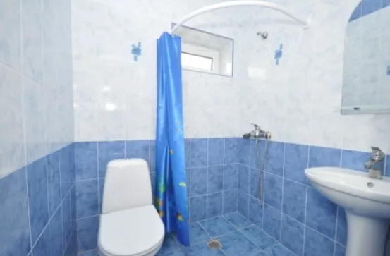 Стандарт. Пансионат "Виктория". Молочное