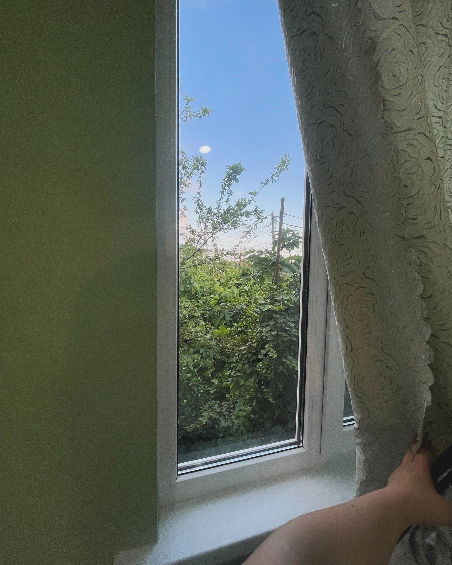 . Гостевой дом Самшит. Гагра