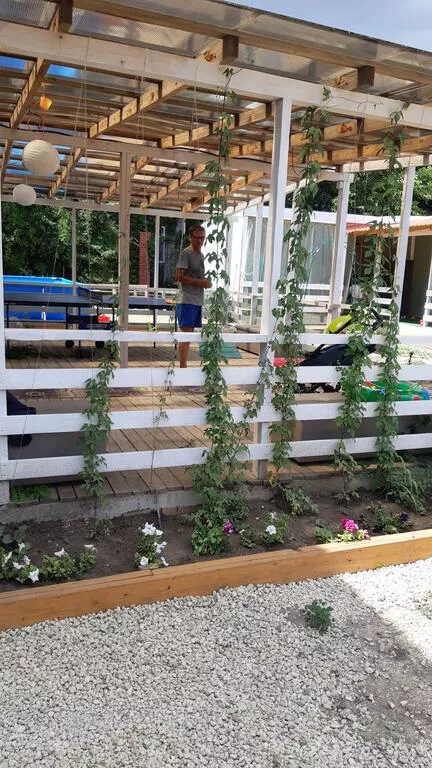 . Гостевой дом Зеленая Дача. Анапа . Гостевой дом Зеленая Дача. Анапа