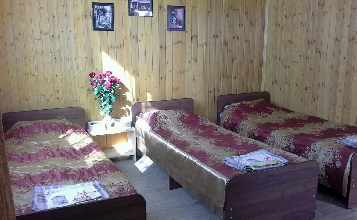 3 х местный. Гостевой дом Ассоль. Гагра