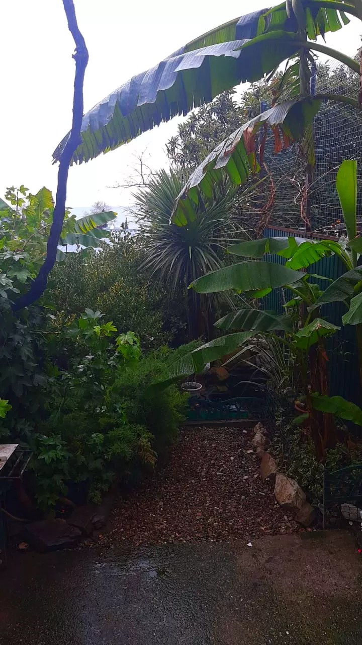 . Коттедж Райский уголок. Лазаревское . Коттедж Райский уголок. Лазаревское