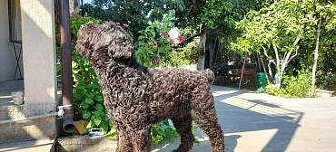 Гостевой дом ЛЕТО Гостевой дом ЛЕТО