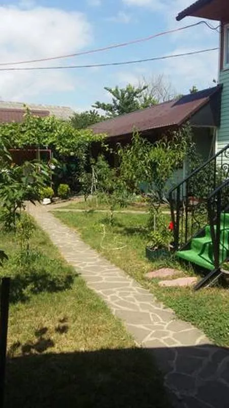 . Частный сектор У Амира. Головинка